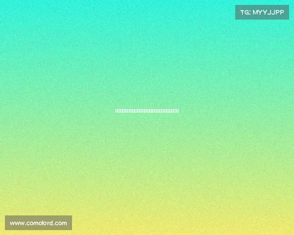 芝加哥公牛队重建之路：从乔丹时代到现今挑战与未来展望