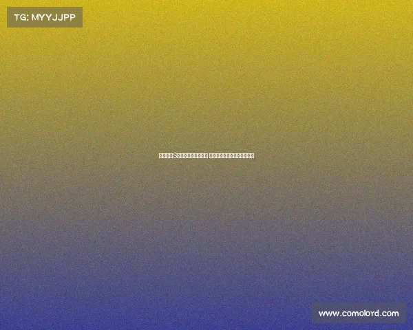 英雄联盟S赛比赛用机全面解析 高性能装备助力战队争夺冠军