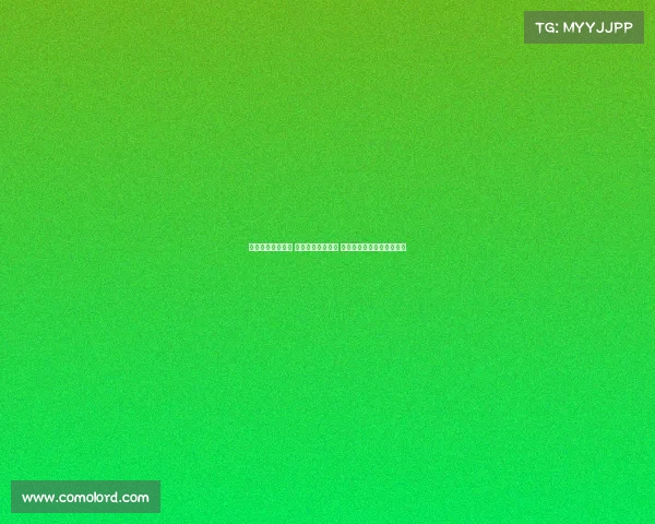 提升球队锋线实力 打造高效进攻体系 引进顶级前锋球员方案分析