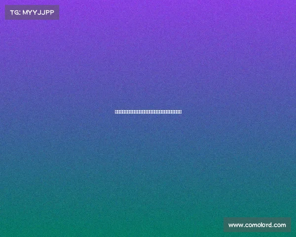 谢什科与曼联球员交流后认为其适合阿莫林战术体系核心角色