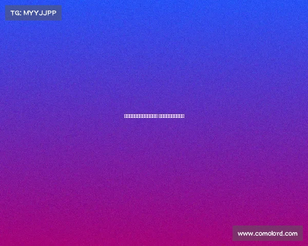 高效装备整理技巧与方法揭秘 让你的物品归类更有序