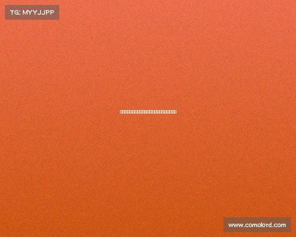 足球转会谣言真假难辨如何分辨真假消息避免被误导