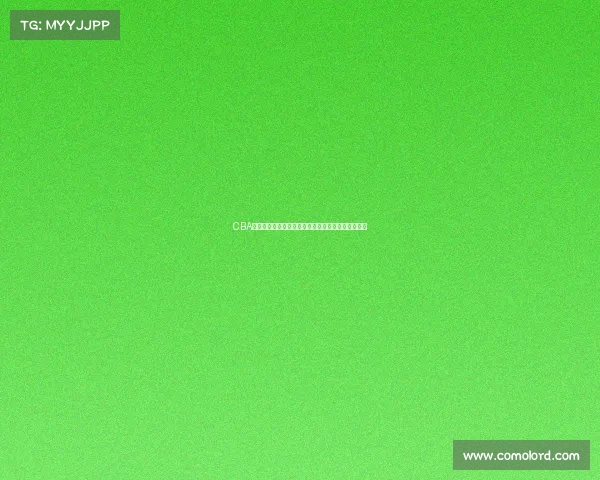 CBA球星卡收藏热潮掀起年轻人市场新风潮球迷热情高涨