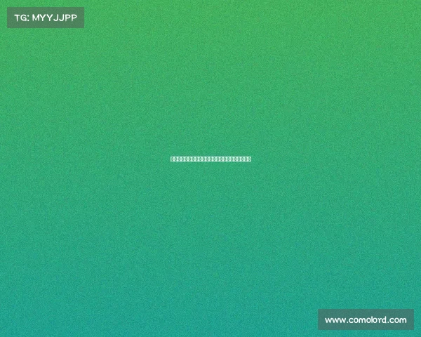 沃特金斯谈季前赛重要性并展望新赛季球队准备情况