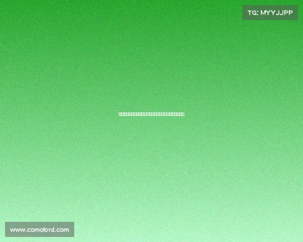 谢什科的崛起：在压力与挑战中锻造力量与雄心的传奇旅程