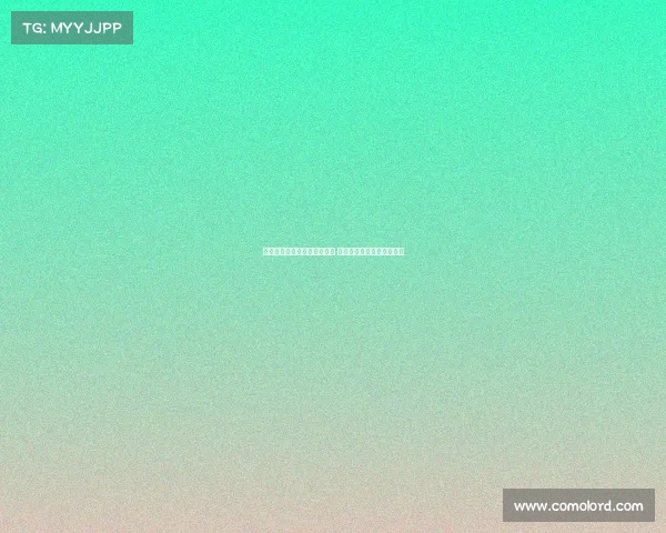 沃诺克回顾水晶宫失去范戴克 瓜帅革新足球理念引领未来